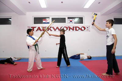 taekwondo kwon training